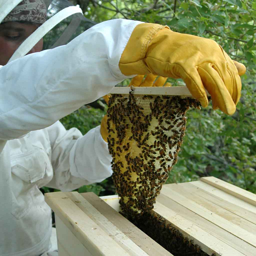 Beekeeping brown leather gloves